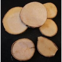 Baumscheiben aus Holz