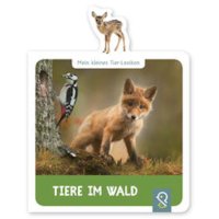 Tiere im Wald
